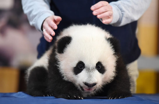 ��]�L���������~���J��ä�ˤ��Z���G���v���ʐ�