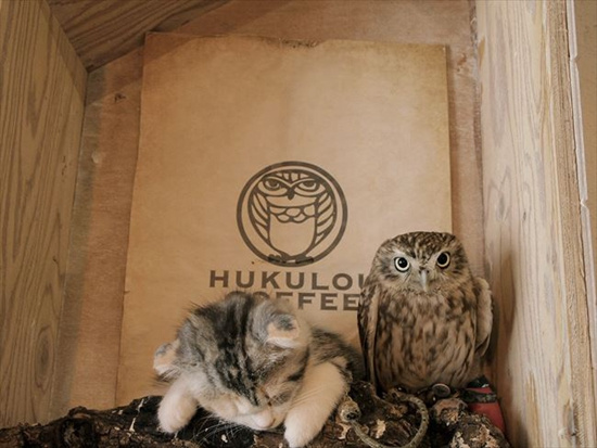 �]��{�Υ��R��©��]�ԕ������f�l�ƒˤߐ��ʐ�