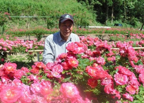 �v�Y����n�`�@�w�t�d��n�P��1���Z�S�����t���e�n�ѐ��S�����[���I��