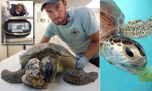 ��ä�p�����yú������X����J����v����T���ʐ�