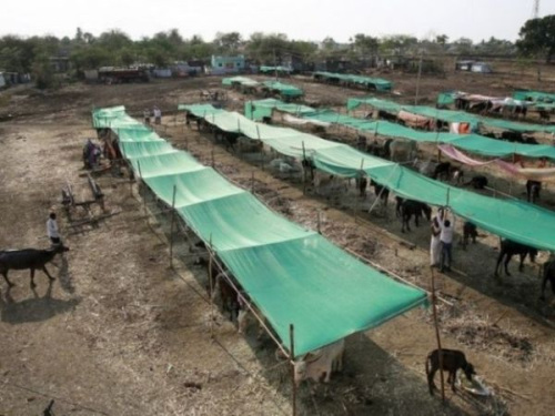 �ˤ��W�]������h�V�����ڕ]�L�P���_