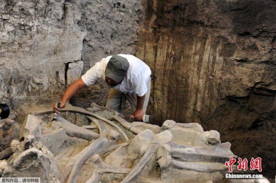 �����Ε\�ƥ۔I2015�e12������}�ޔe�r�n���s�d���W��