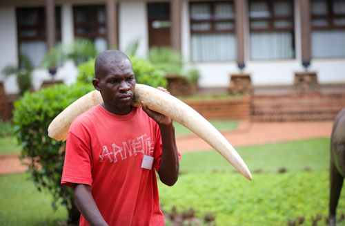 �Y�C:�F�w�Ǹo���x���_��޼�Ε\����K�h���t�s