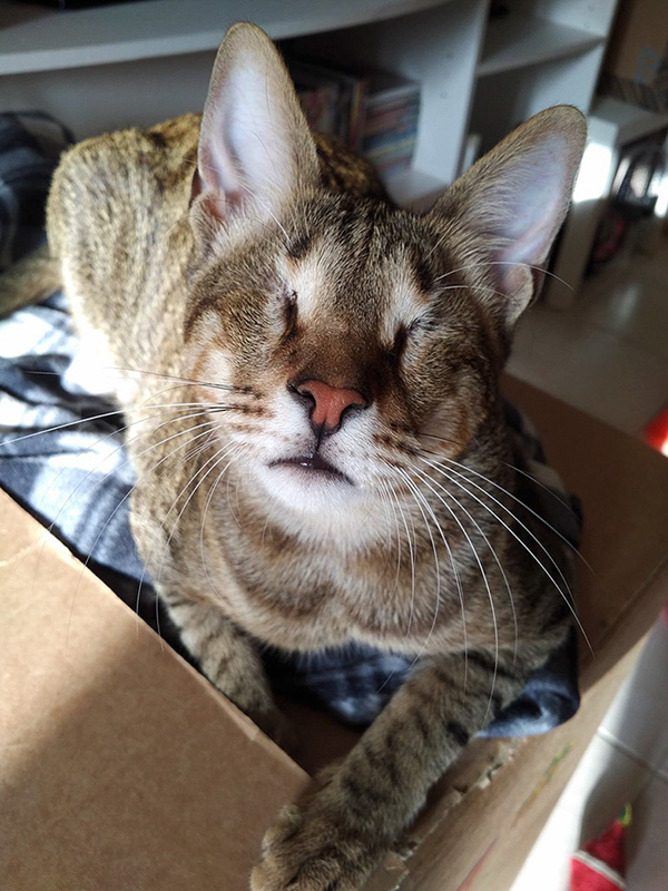 �ʕ[�q�I���D