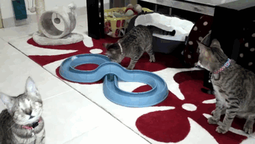 �ʕ[�q�I���D