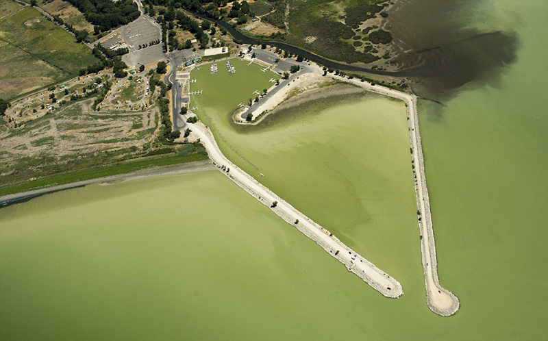 �ܵS�p�����eŢ���� �έP�e�ˤ�޷