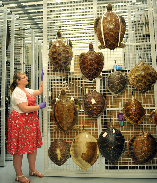 �Yè�J���i�|��S������ �Q�I���@���J