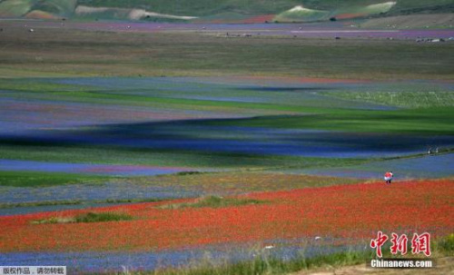 ���ťʐ�����