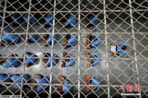 ���ťʐ��]�q