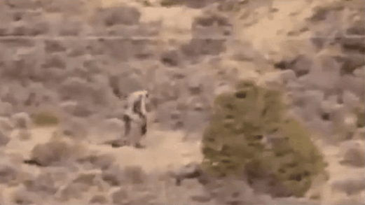 �աtê���~���}?���Q�\���z�}�˕����~ �_�˒ç��o��