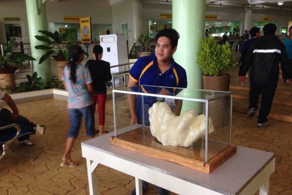 �ݐ��B��֢�I�ؔH��i�|��