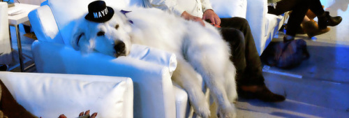 ���|�˰���潕���ä�󰨦J���R�d3���K���ئJ