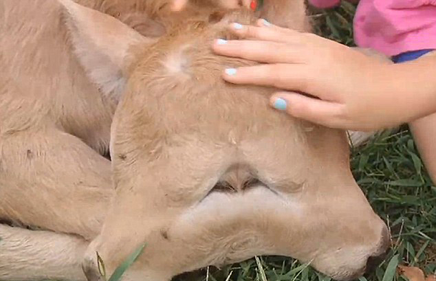 ��ä���Ϫ���آ����L�Z���]��