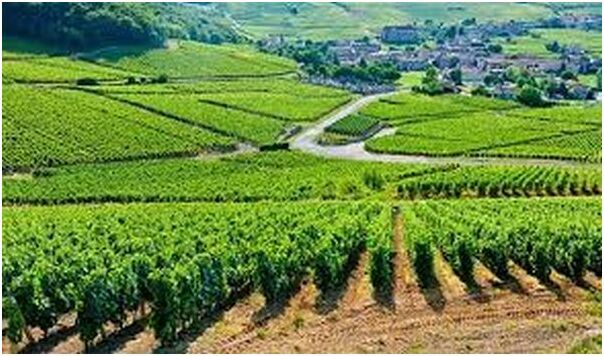 �uä���`�����Q�Z��j�Ϋq  �ϥ����S���A�v��B���@