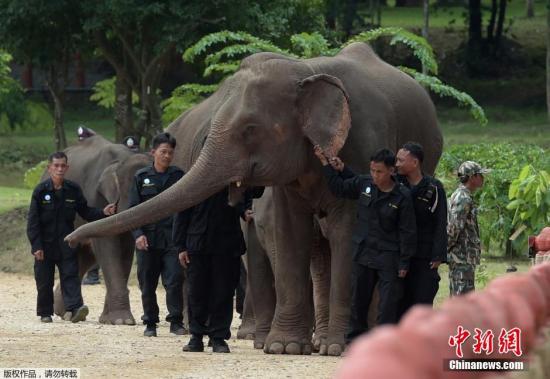 ���ťʐ���ΐ�