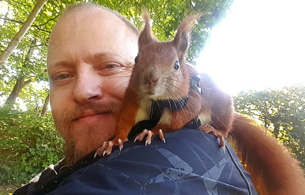 �V�R�椦�I���������yң�������Y��