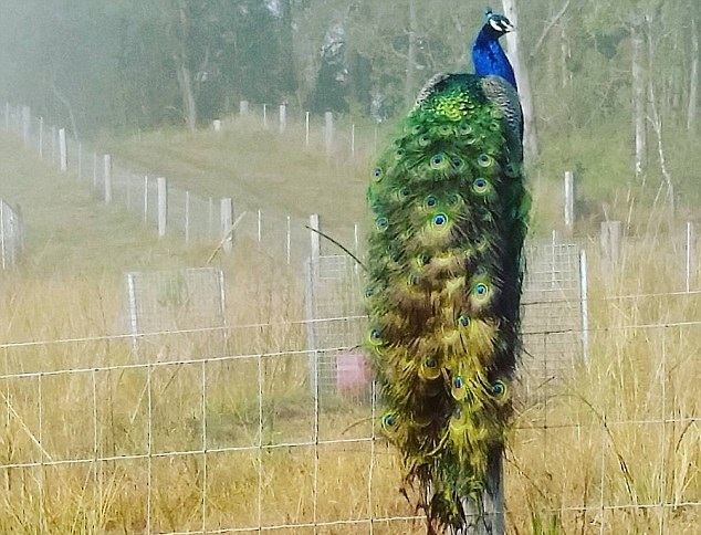 �Ϫ�h�l�է���\�J ���{���УK���ݡL�\�@�I��