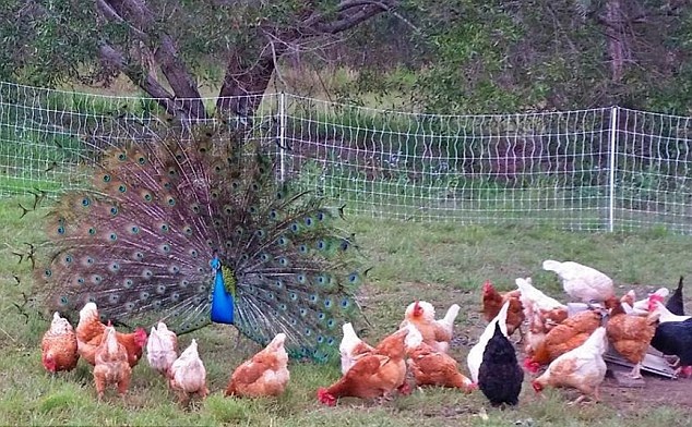 �Ϫ�h�l�է���\�J ���{���УK���ݡL�\�@�I��