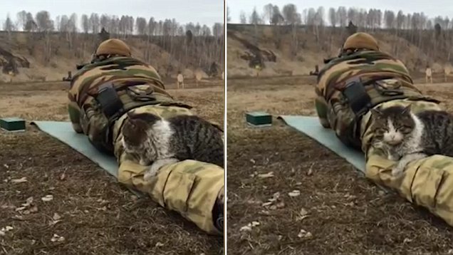 �X�]���}������è�m��H ���~�s�Y�ެ�Y��