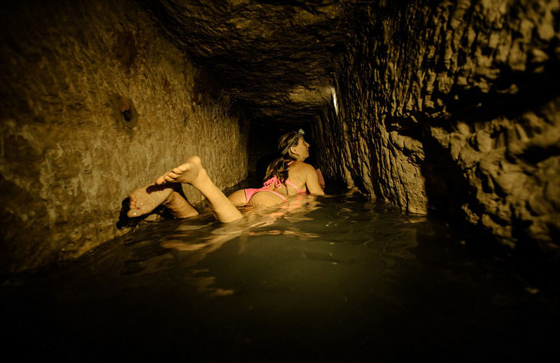 �ܒ��o�ި��I �K�H�ع������Ò�