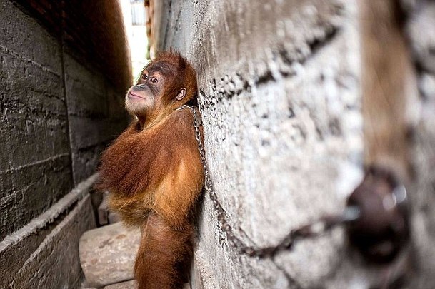 �򥧒��q�q�꺿�U�Y �ײk���s�ѣ��h�˲��^��