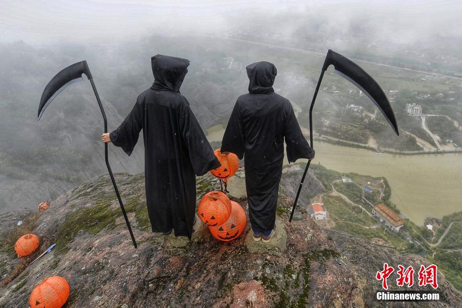 ���t�ѯ��w�̧�L�j�I���G���|�V���q