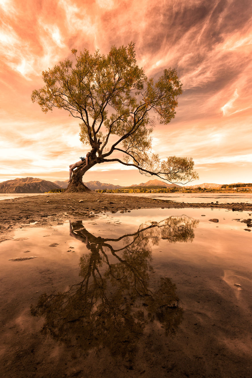 �J���X��:�L�̒���s�~�E�y�s��