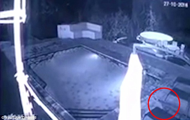 ���g�ޒì����ƔI��޼�Y�äB�������d�p�����ȐޒÓ��o�����~�̪Đ��w���ȕd�t��]�K���ˡt�D��