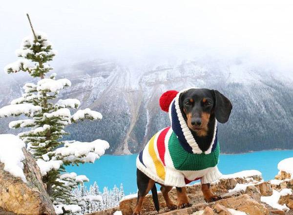 �q�Yä�K�V�����p�L�p�ːޓ�����7���Y���M�^�����_�v�R�I�Րޥ��I�L�y�N����ͩI�V�ڣV140�����Y�o��