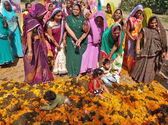 �����Ѥ��_�{�ѐ�\���g�]�}�w�U�ڐ��ʐ�