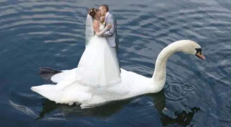 �X�������[���K�h�y ���K���[�~����D����