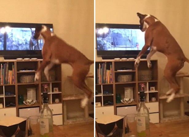 �Z���e���򩱸t�����үV�դѓB�y���N����Ͳ