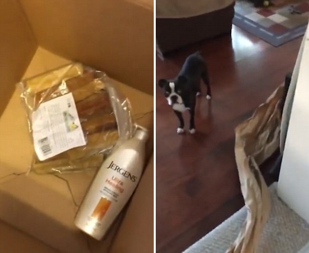 �ܥ����I��ֱw���������f�����F21�g