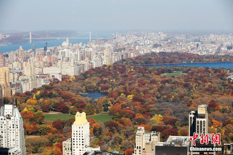 ��ä�a�٤������Z��ҧ���V�Ρg