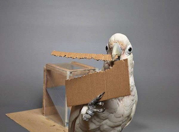 ���nͲ����x�M��|�ה������������J