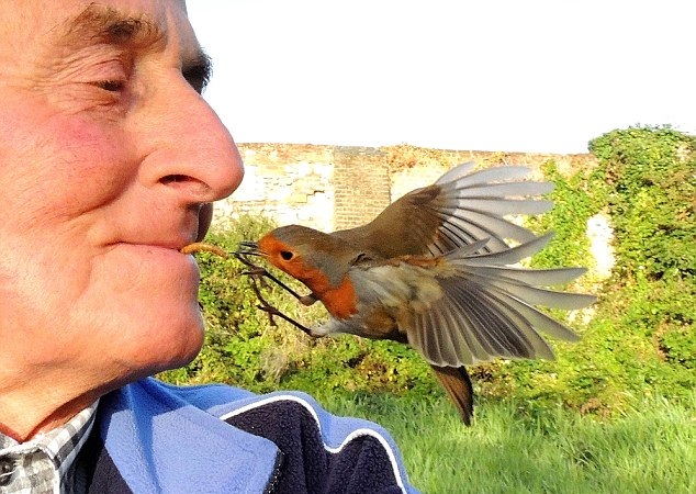 YlкNJLBKLВˡ Ǩ YlкNJLBKLВˡ Ǩ