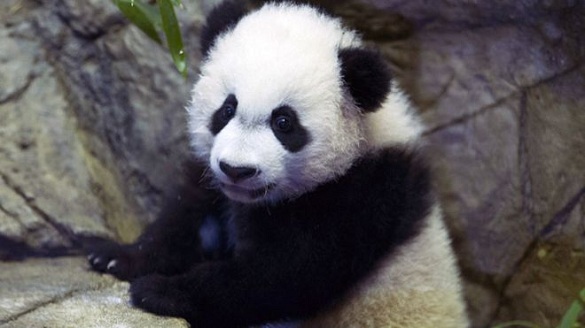 ���ť�:���ܒ���]�L������