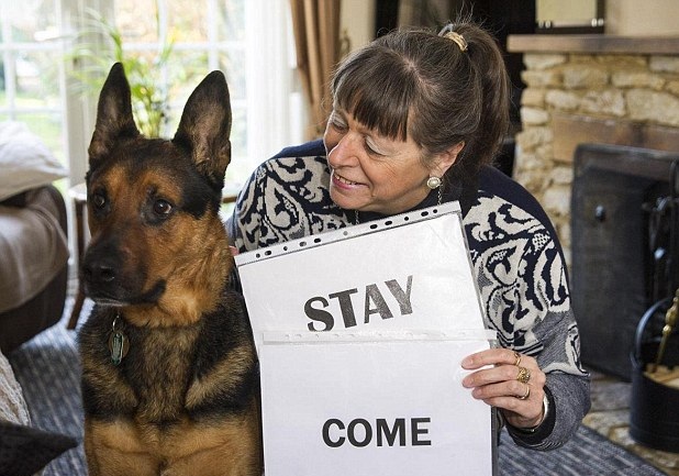 �Y�y���N�]���h�~�N �˷R�\���~�s�|�t