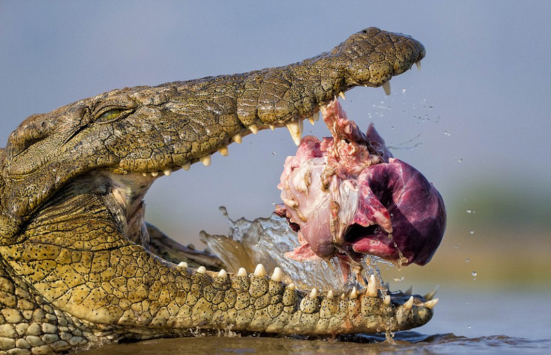 �v�ͯ��J����