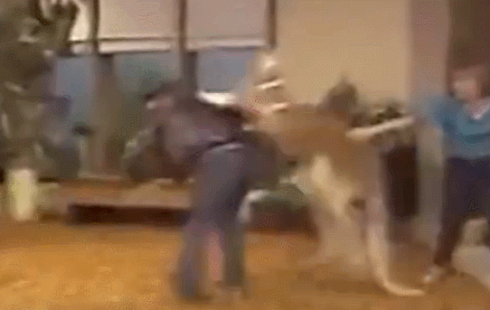 �U���]��������KO�h�Y