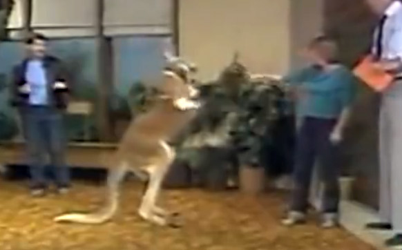 �{�~�o�ڣ[�e�������ꡡ�����Y�U���ސ�{���V���U���n�U������s���E�����Y���Ͷ]�����ޒ���KO�˺N��