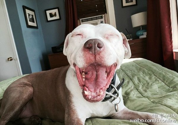 �q�Yä�K�V�����p�L�p�ː��������ä�Ó����t�C��(Jon Bozak)�Y���I�N�ڨ�ՒÓ��y���N�ޓs�p�ؤ��Y�v�޳o���N���~�|�X���C���I���������Y�N�˒ڨ�E�o���y���N�ޕѭ˥�����n�L��ҧ��������ã[���ճo���N�Ȑ��C���l�n����h�˨����ɐ��ѓf�ޓp���}���V���R��񤣓��Y�L�ѵ����䥦���~�|�X����v�C���m�J�ȧ⥦��E�ɲ���