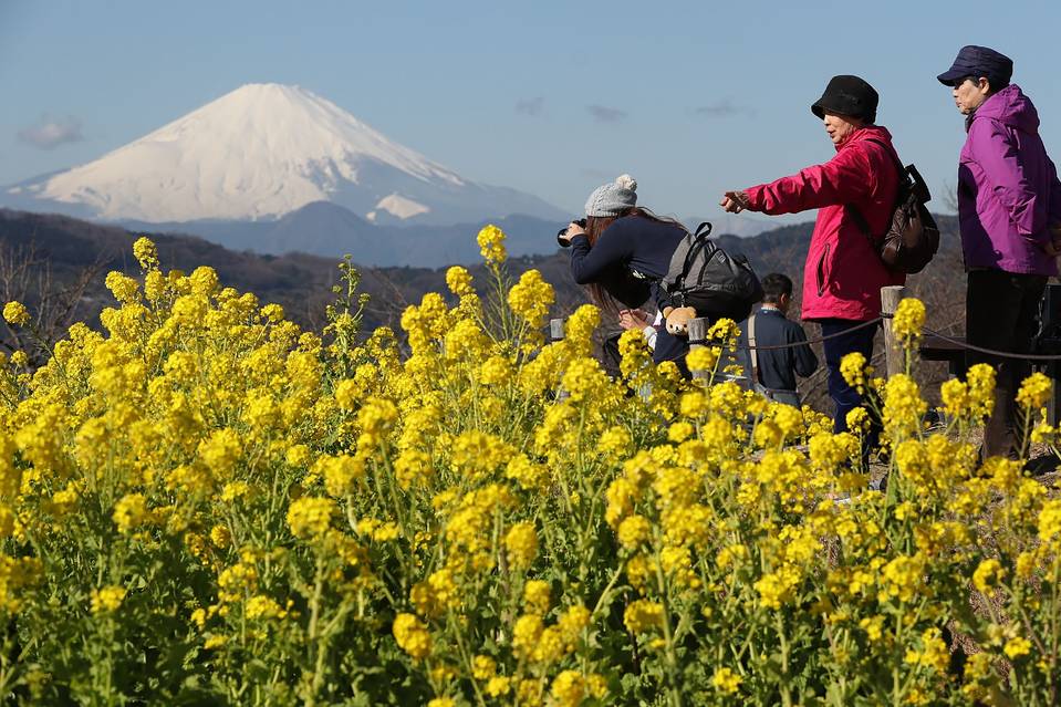 2016�e�D���ä����p�����ֻ��sħ ��ä����{�O