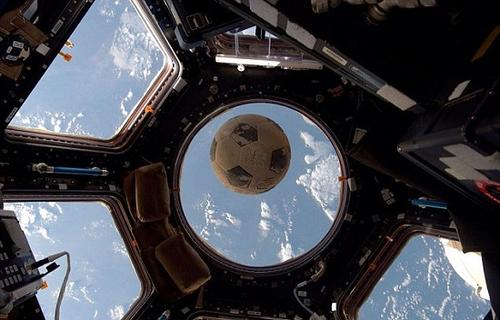 �L�t�s�k���z�s��7��L���Z���i��31�e�A�ɒڤ��d