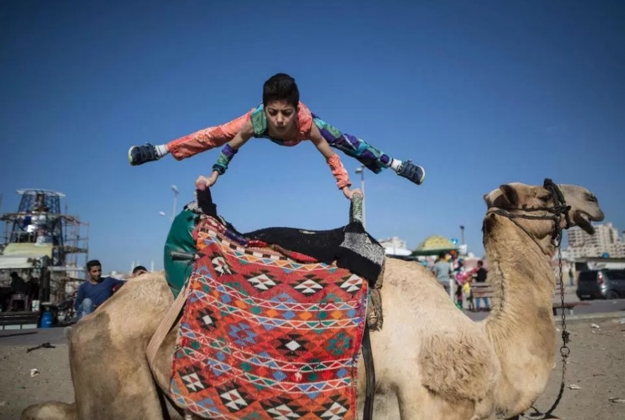 �n�լ��\!12�Ф֔e�h��365���L�j�a�u�r