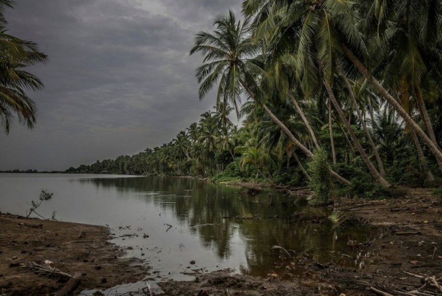 �J���K�� �������N�^�V�Y��Υ����@���~