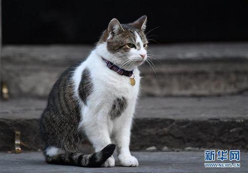 ���ťʐ�Yä�L���ø]���Ԩ���