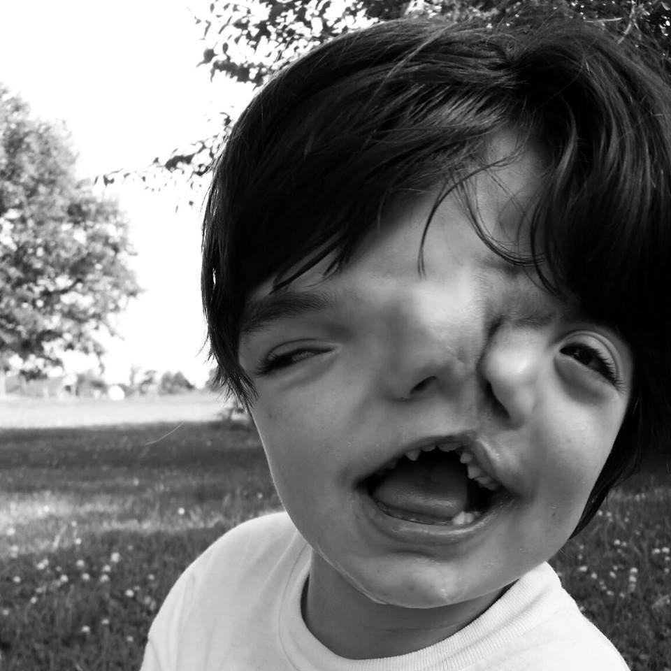 �ѥͣ��i�y���\�͔Z�v�] 13�Т����f���_�|�����ʐ�