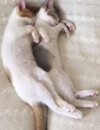 �Z�M�L�]�w�f��ғB�u�� �ټ[�����\�˽W�ƒ�