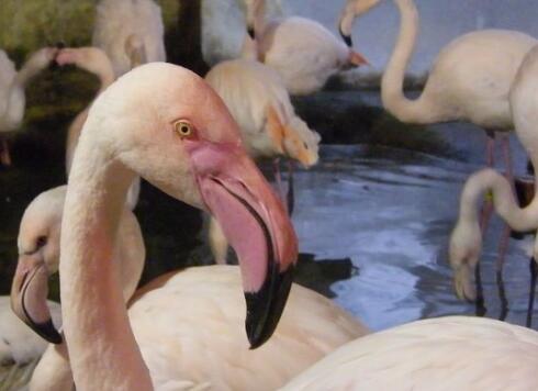 �L�g�r���L�����{�Y�q�k�H�����L�u���o ���n�ɩ����